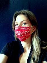 Load image into Gallery viewer, Cotton face mask Bandana print - ready to ship